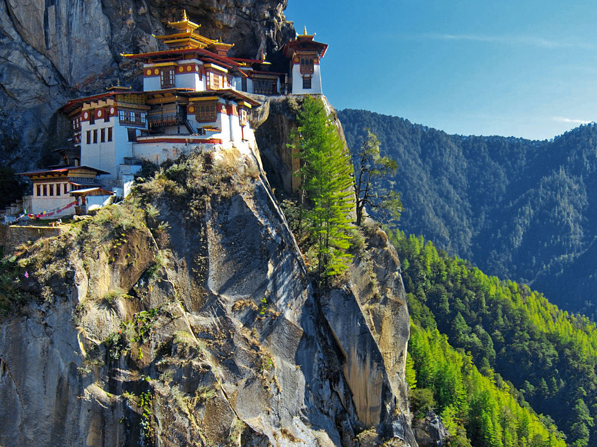 Бутан вопрос
